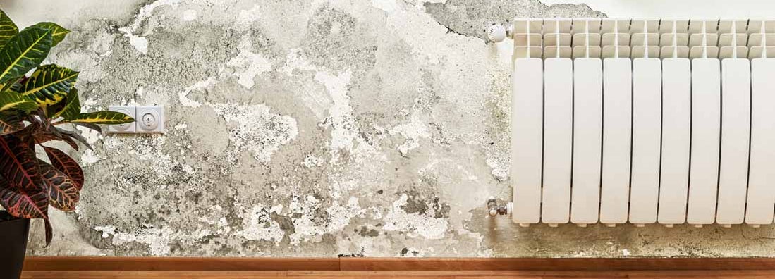 Mold and moisture buildup on wall of a modern house. Find Mold Insurance. 