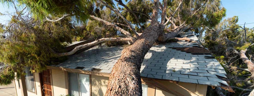 Tree falls on neighbors roof of home after huge storm.  All the home insurance secrets your agent left out. 