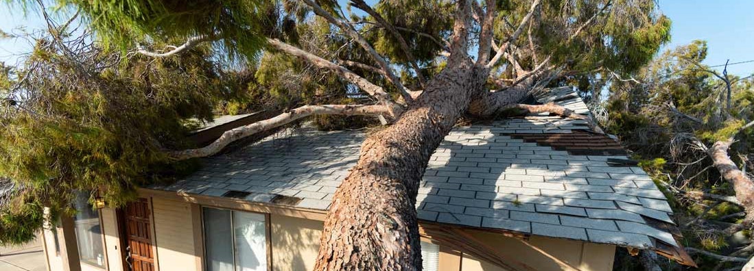 Tree falls on neighbors roof of home after huge storm.  All the home insurance secrets your agent left out. 