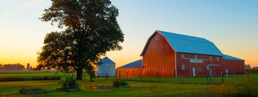 Red Barn at Sunrise. Find farm insurance.