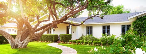 Beautiful home with big green grass yard and large tree