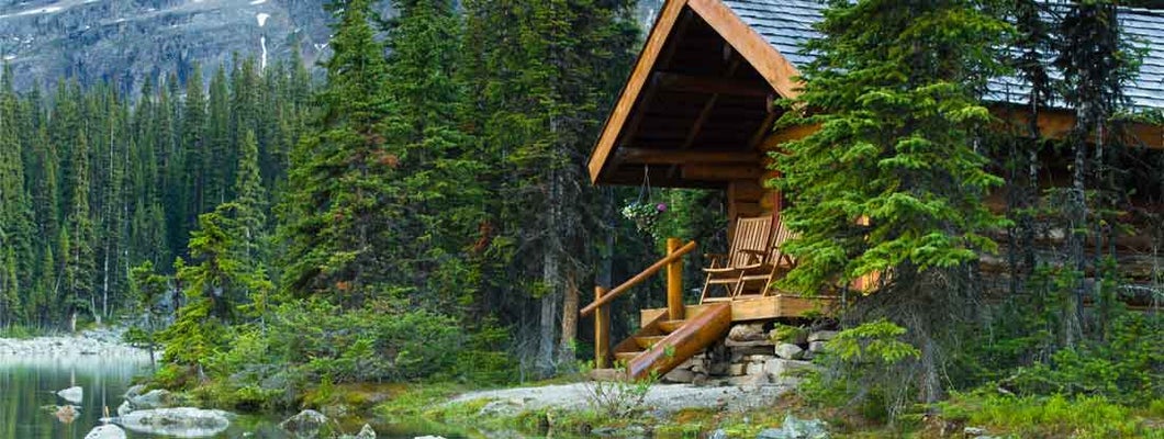 Log cabin hidden in the trees. Find Cabin insurance.