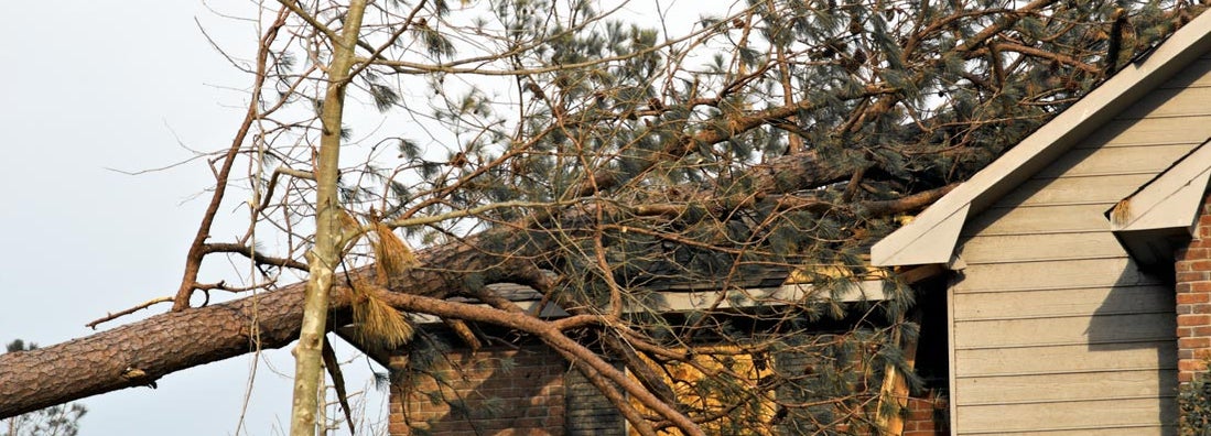 Tennessee Liability Coverage Insurance
