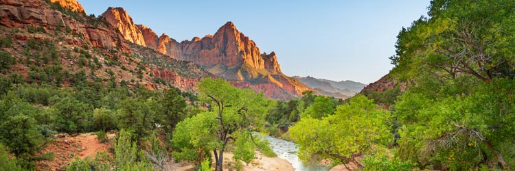 The Watchman at Sunset in Zion National Park Utah