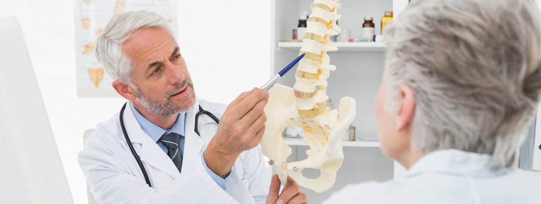 Chiropractor demonstrating the structure of the spine. Find chiropractor insurance.