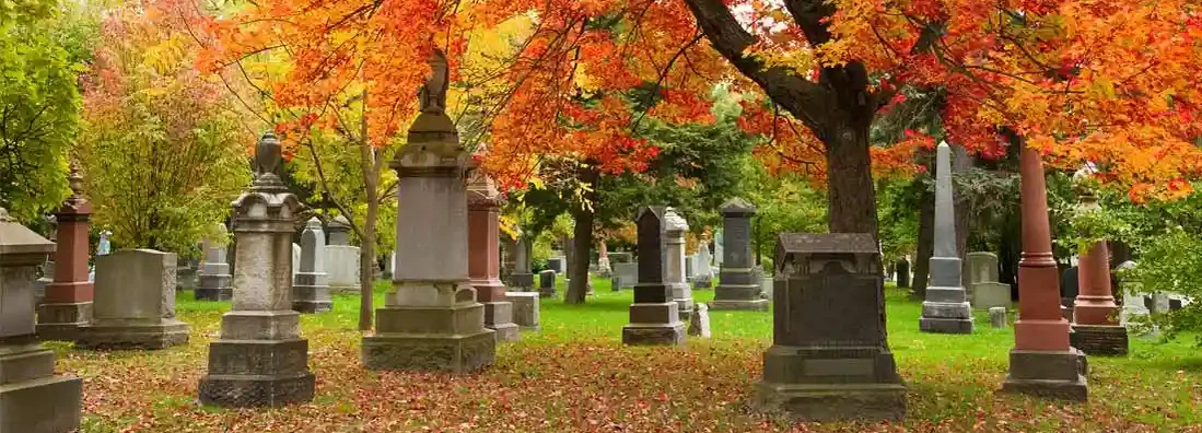 Grave stones and memorials under a red maple tree. Find Cemetery Insurance.