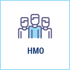 Health maintenance organization (HMO)