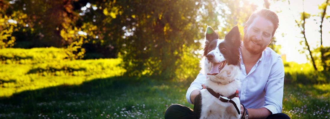 Man embracing his dog in the park