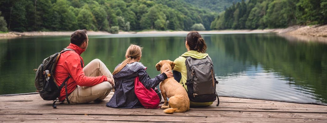 Family with dog resting on a pier and looking at lake and foggy mountains. Converting your term life insurance to whole life insurance.
