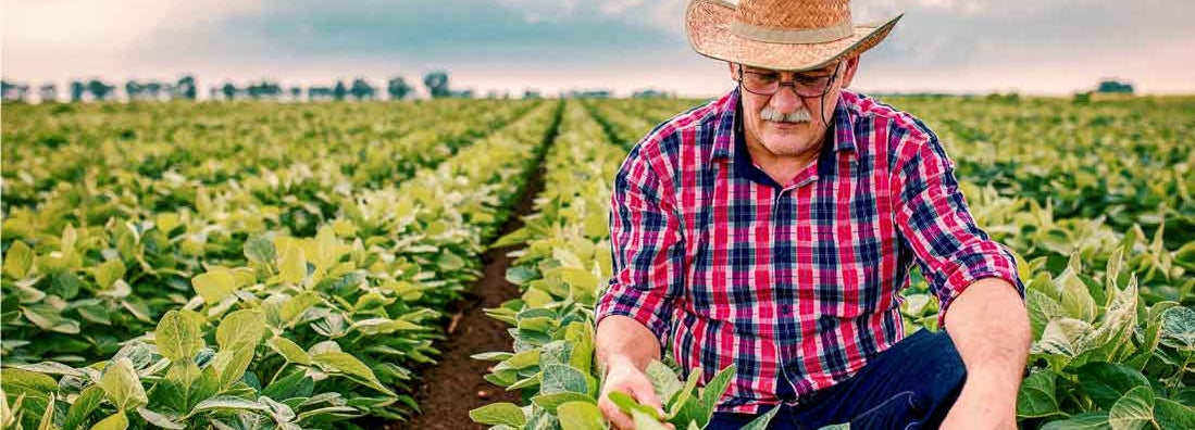How to insure your crops