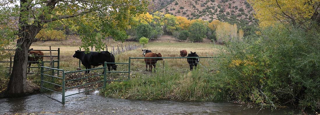 New Mexico Farm Insurance