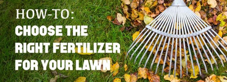 How-To Choose the Right Fertilizer