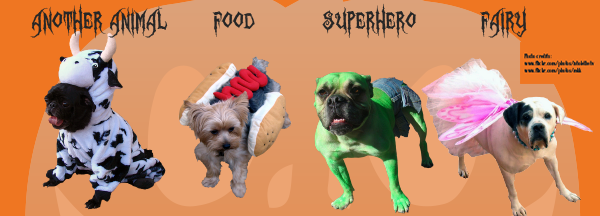 dog costumes