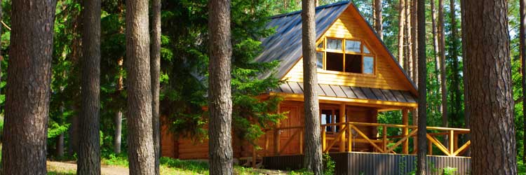 Beautiful log cabin in woods. What is the cost of cabin insurance?
