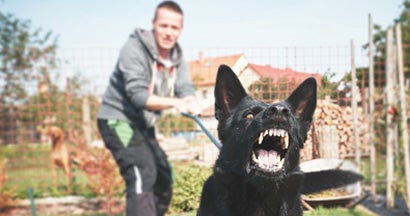 Dog bite