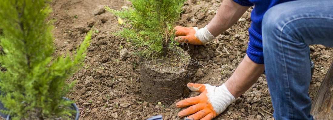 Tennessee Landscapers Insurance