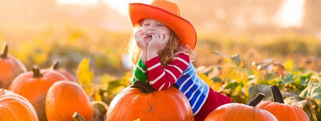 How to insure a pumpkin patch
