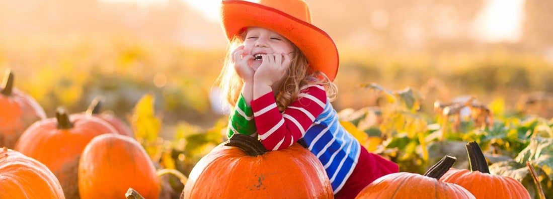 How to insure a pumpkin patch
