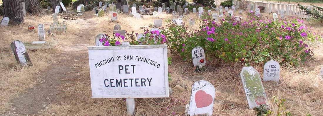 Pet Cemetery Insurance
