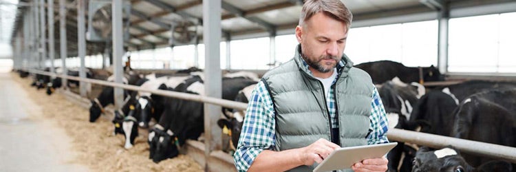 Commercial Farm Insurance