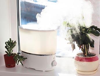 Perfect humidifier in a window.