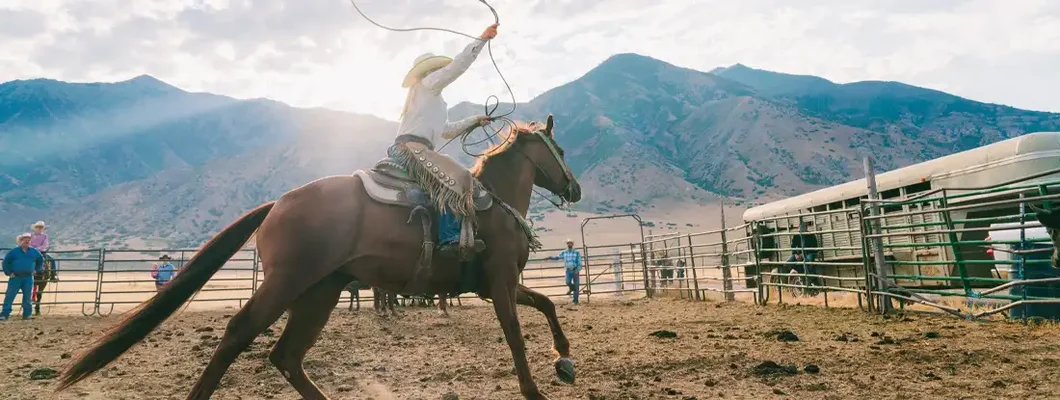 Cowgirl swinging her lasso ready to catch a calf for branding. Find Rodeo Insurance.