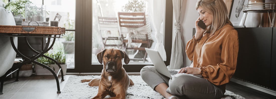 Pet Sitting Service Insurance