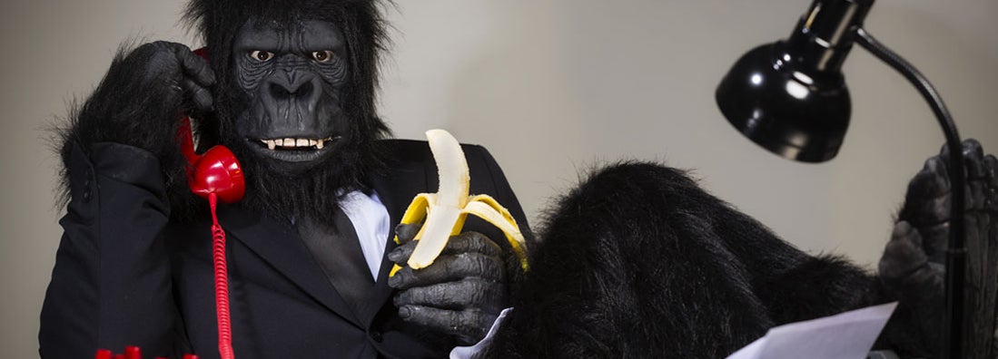 A man in a gorilla suit talking on the telephone in his office.