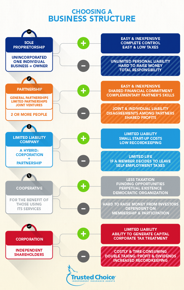 choosing a business structure infographic