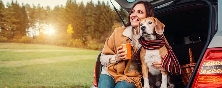 Woman and dog sit together in car trunk in autumn