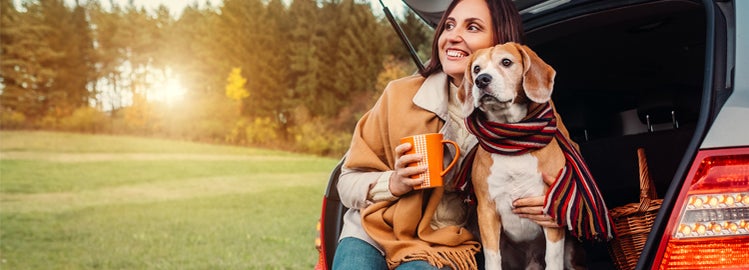 Woman and dog sit together in car trunk in autumn