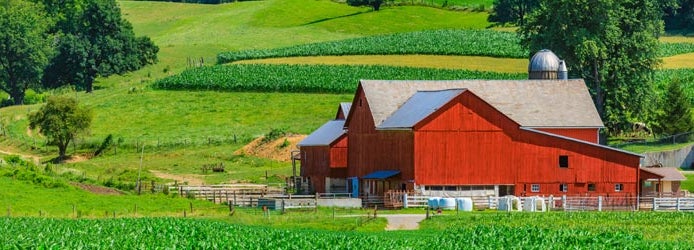 Carbondale Illinois Farm Insurance