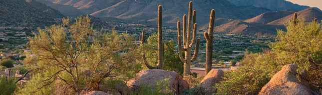 scottsdale, arizona 