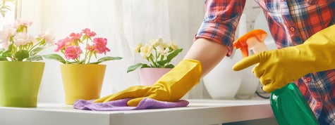 Woman cleaning the house. 