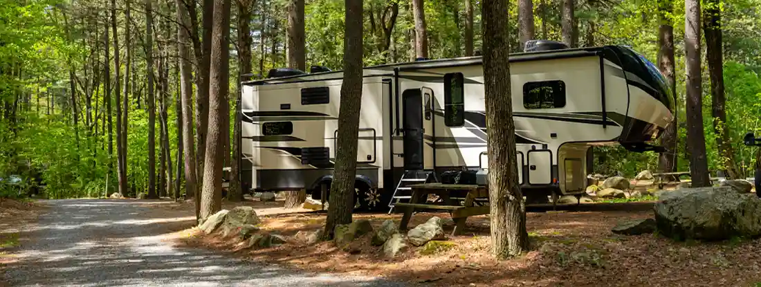 RV Morning Camping in the Woods. Full Time RV Insurance.