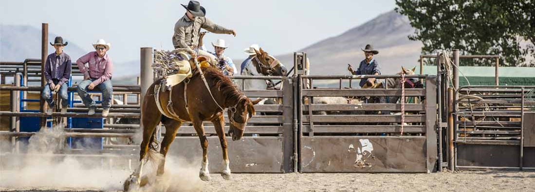 How to insure a rodeo