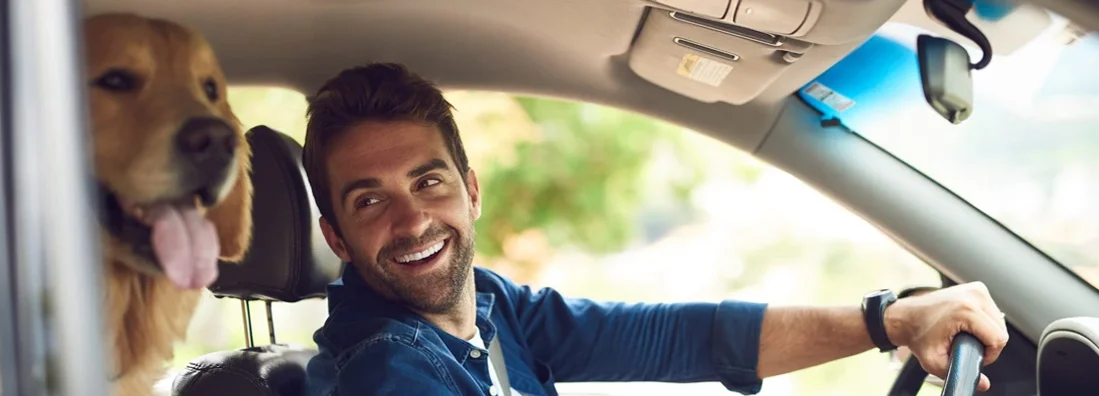 Young man taking a drive with his dog in the backseat. How to Find the Best Car Insurance in Auburn, Maine.