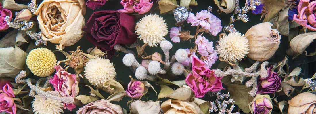 Dried flower shop insurance