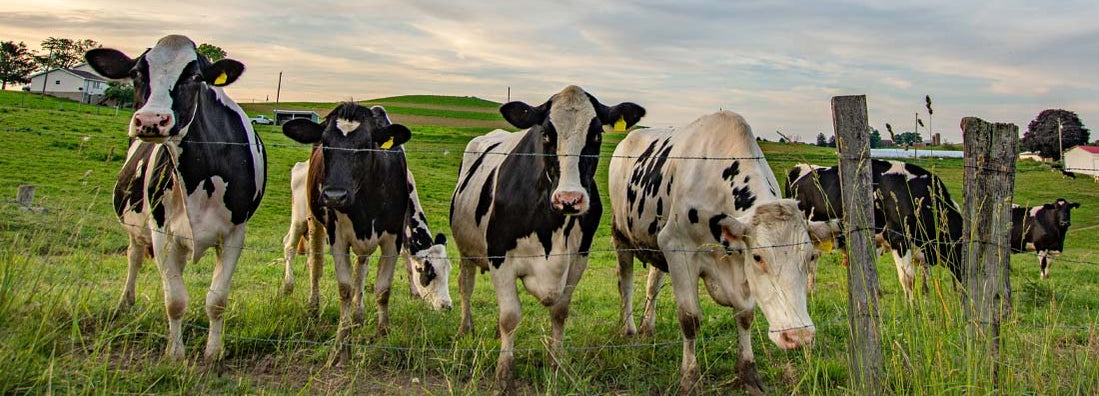 Owensboro Kentucky Farm Insurance