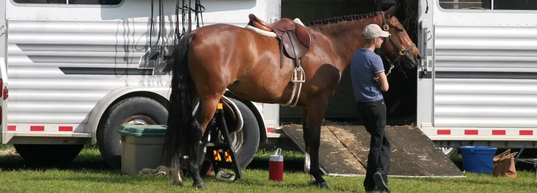 A horse and rider stand outside a large horse trailer in a grassy field. Find West Virginia Trailer Insurance.