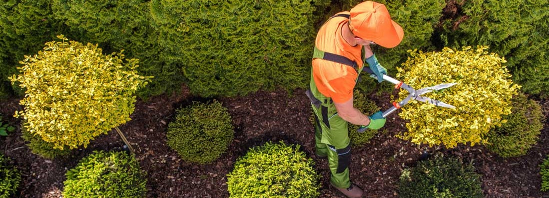 Garden Maintenance Service Insurance