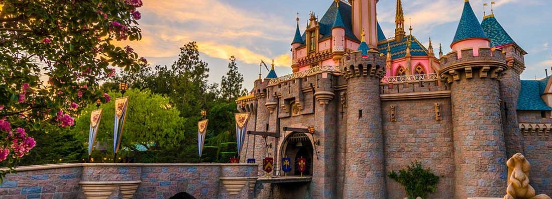 How to insure Disneyland