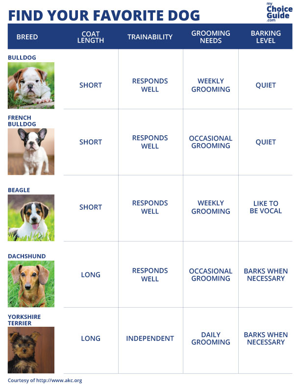 choosing a dog