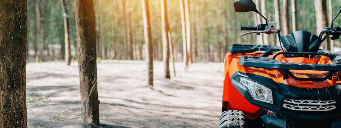 An ATV adventure through the forest at sunset. Find ATV Insurance Discounts.
