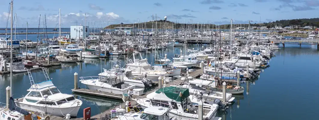Half Moon Bay Marina Brimming With Boats on Crystal Clear Waters. When Is the Best Time to Buy a Boat? 