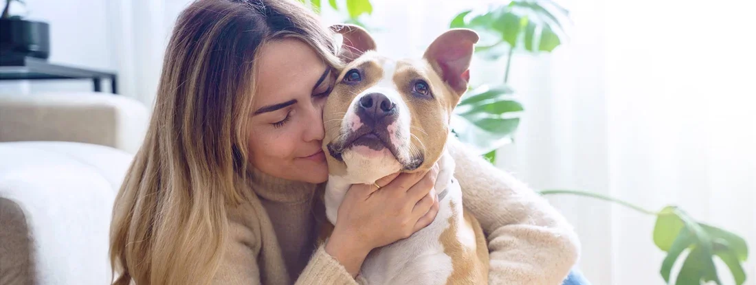 Woman hugging happy Pitbull dog at home. Pit Bull Prejudice: Why You Need Pet Liability Insurance.