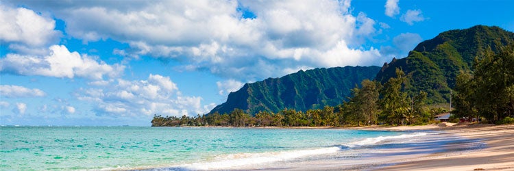 Hawaii disability insurance