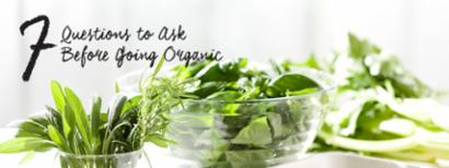 herbs and fresh veggies
