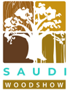 saudi_3.png