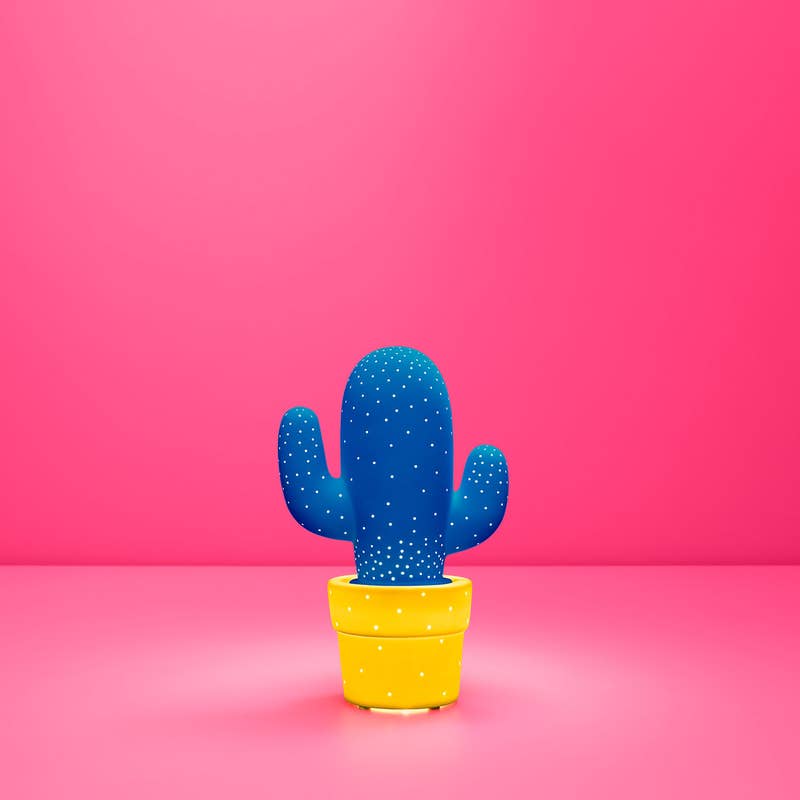 EEN CACTUS VOOR DIE PRIKKELBARE NICHT?